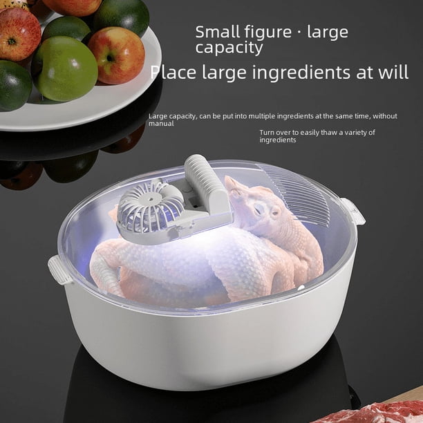 Dispositivo de descongelación de carne para el hogar de cocina Dispositivo de descongelación rápida de atomización de gran capacidad 4 en 1 Dispositivo de descongelación de carne congelada