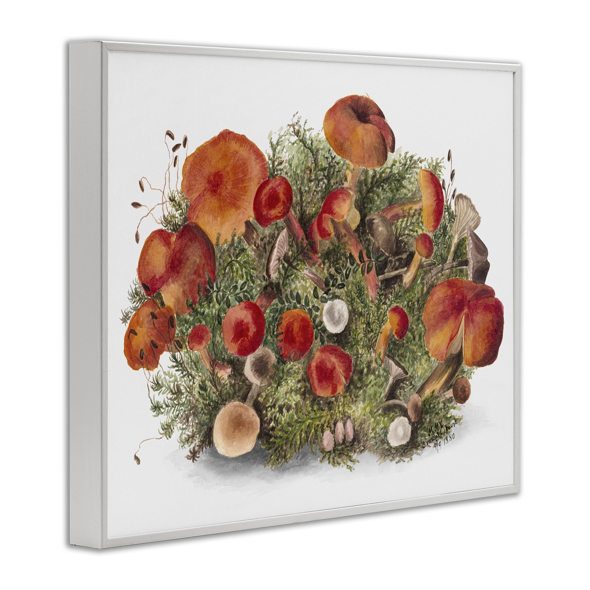 Stupell Industries Rustic Cottage Mushrooms Botanical & Floral Painting White Framed Art Print Wall Art, 20 x 16