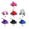 thumbnail image 3 of Billuyoard Divertidos sombreros de pollo, Mini gorro de plumas con dobladillo, decoración para banquetes, puesta en escena, accesorio para Aseo de mascotas Blanco, 3 of 6