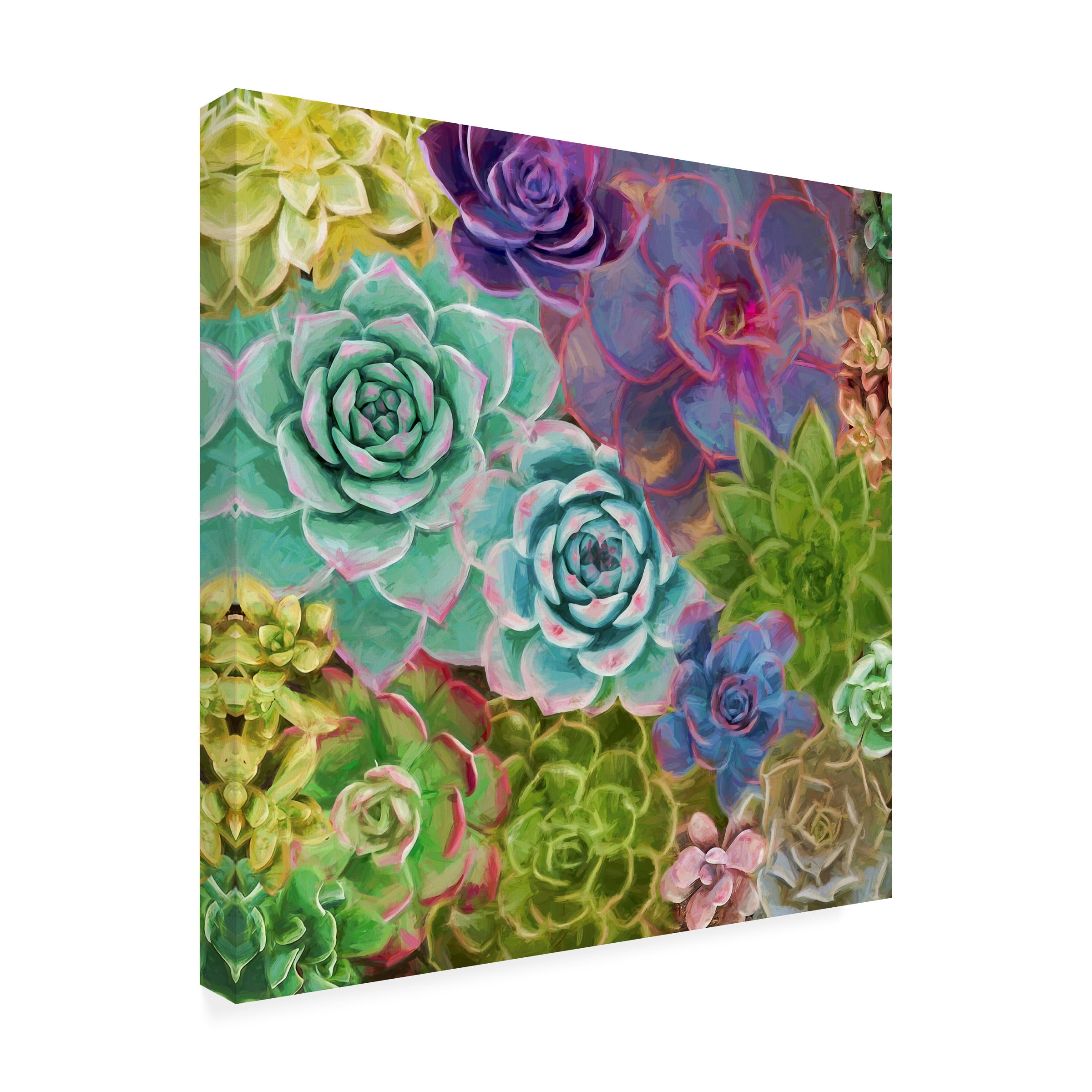 Cora Niele 'Little Succulent Garden' Canvas Art