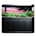 thumbnail image 1 of YLSHRF Bright Color Fish Tank Poster, Aquarium Poster, Aquarium For Fish Tanks, 1 of 8
