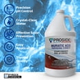 thumbnail image 3 of Muriatic Acid - ProSide - 2-Pack of 1 Gallon Bottles - PH Adjustment & Concrete Etching, 3 of 7