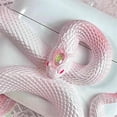 thumbnail image 5 of Snake-Shaped Earphone Protective Case Anti-Drop and Scratch- Hollow Design Resin Earphone Case B E, 5 of 5