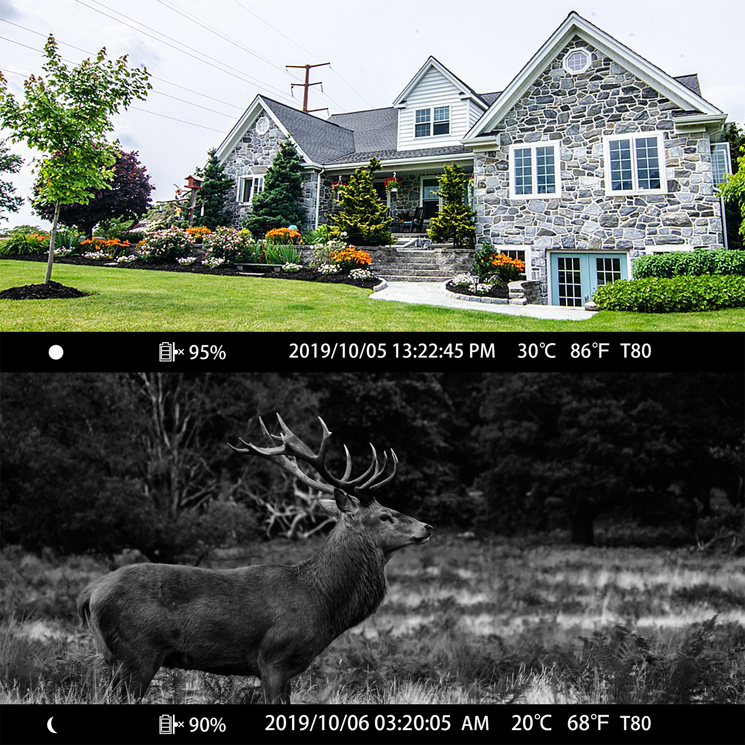 TOGUARD WiFi Bluetooth Trail Camera 20MP 1296P Hunting Game Camera with Infrared Night Vision Waterproof IP66 120° Wide Angle 2.4" LCD Trail Cam for Outdoor Wildlife Monitoring