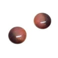 thumbnail image 5 of Red Blowfly Insect Bug Compound Glass Eyes, 5 of 7