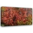 thumbnail image 1 of Lee Peterson 40x28 Gallery Wrapped Canvas Wall Art Titled - Fall Leaves VI, 1 of 4