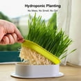 thumbnail image 3 of Mistaha Hydroponic Cat Grass Planter Box - Indoor Growing Kit for Cats, Dogs, and Pets - No Seeds Included - White & Pink - Separate Layer Design - Anti-Digging - Wheat Grass Growing - Home Decor and, 3 of 6