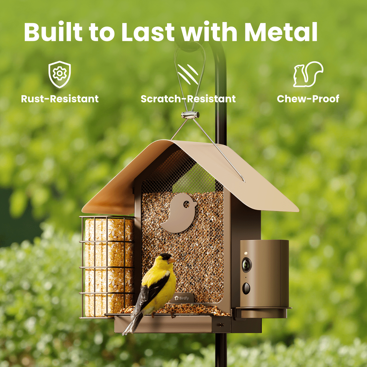 Birdfy Smart Bird Feeder with Camera, 1080P HD 60FPS Video, AI Bird Identification Lifetime Free, Night Vision, Metal Bird Feeder, Gift for Bird Lovers, Metal V AI