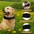 thumbnail image 2 of Collar para Perros Grandes Ajustable de Bargains Únicos, Collar Pesado con Mango, Collar Táctico para Perros, Collar Pesado para Perros Negro L, 2 of 7