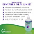 thumbnail image 3 of Dentahex Oral Rinse for Dogs and Cats by Vetoquinol - 8 Ounce, 3 of 6