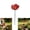Red, variant on 2 Pack Bee Watering Station for Garden – Ceramics Bee Bath Feeder with Flower & Butterfly Design, Colorful Pollinator Drinking Water Bowl, Outdoor Yard Decor Stake for Bees & Butterflies