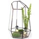 thumbnail image 5 of Terrario Geométrico shamjiam 2 Pcs Maceta Cristal Planta Transparante, 5 of 8