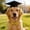 Black, variant on Adjustable Pet Sun Hat for Dogs & Cats, Soft Breathable Lightweight UV Protection Cap, Shiny Golden Bow Neck Collar, Stylish Sun Shade Headwear for Park Walks, Beach Trips & Outdoor Adventures