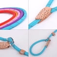 thumbnail image 4 of Reflective Rope Slip Training Lead, Mountain Climbing Rope Pets Leash for Dogs and Cats, 4 of 5