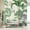 Self-Adhesive, variant on Idea4wall 3pcs Exotic Jungle Tropical Palms and Wildlife Wall Murals, Not Peel and Stick, Non-Woven Wallpaper Large Wall Decoration for Rooms, 72"x96"