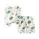 thumbnail image 1 of Odeerbi 1-6 Años Niños Niñas Pijamas de Verano de Algodón Camisetas Pantalones Cortos Conjunto Suave Dinosaurio Imprimir Sleepwear Dos Piezas Pijama Conjuntos, 1 of 3