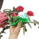 thumbnail image 5 of Herramienta para quitar espinas, pelador de rosas de plástico, herramienta para pelar espinas y hojas, podadoras, herramientas de jardín, 2 uds., 5 of 5
