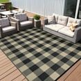 thumbnail image 2 of Haperlare 8'x10' Waterproof Outdoor Rug Plastic Straw Rug, Modern Plaid Reversible Camping Carpet Picnic Mat Geometric Outside Rug for Patio, Backyard, Balcony, Black and Coffee, 2 of 9
