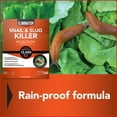 Eliminator Snail and Slug Killer, ReadytoUse 3 lbs.