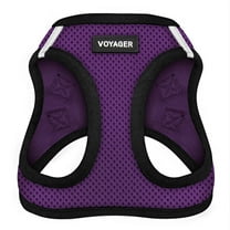 Voyager Step-in Air - All Weather Cat Mesh Harness by Best Pet Supplies - Purple/Black Trim, XXXS