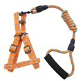 thumbnail image 1 of Pet Dog Collars Harnesses Lead Small Large Dog Supplies(Orange 0.8*120cm), 1 of 1