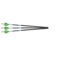 thumbnail image 1 of Excalibur PROFLIGHT 18 in. Lumenok Arrows, 3 Pack, 1 of 1
