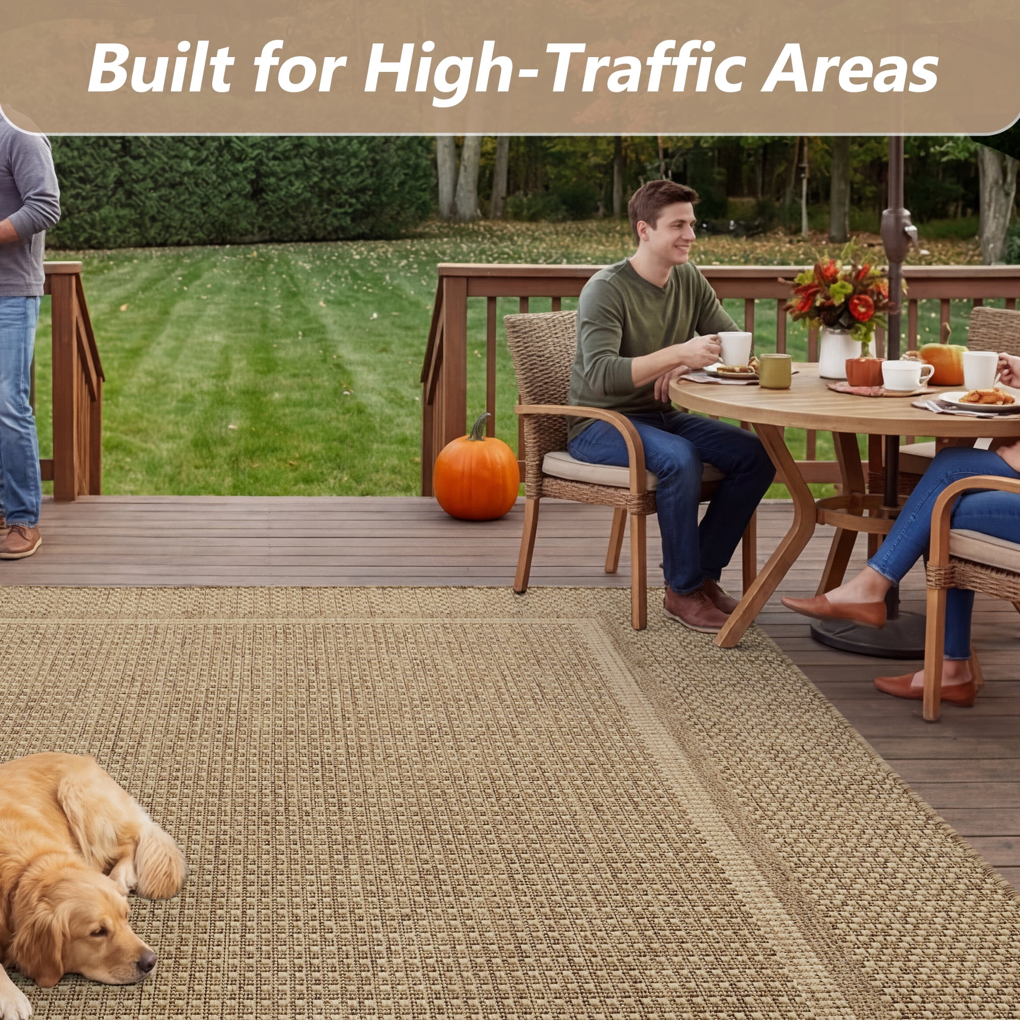 SIXHOME Outdoor Rugs 4'x6' Patio Rug Modern Bordered Indoor Outdoor Rugs Polypropylene Washable Non Shedding, Easy Clean, Waterproof, Durable Outdoor Carpet for Porch Balcony Deck Neutral Brown