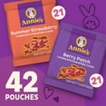 thumbnail image 2 of Annie's, Organic Bunny Fruit Flavored Snacks, Variety Snack Pack - 42 Count, 2 of 5