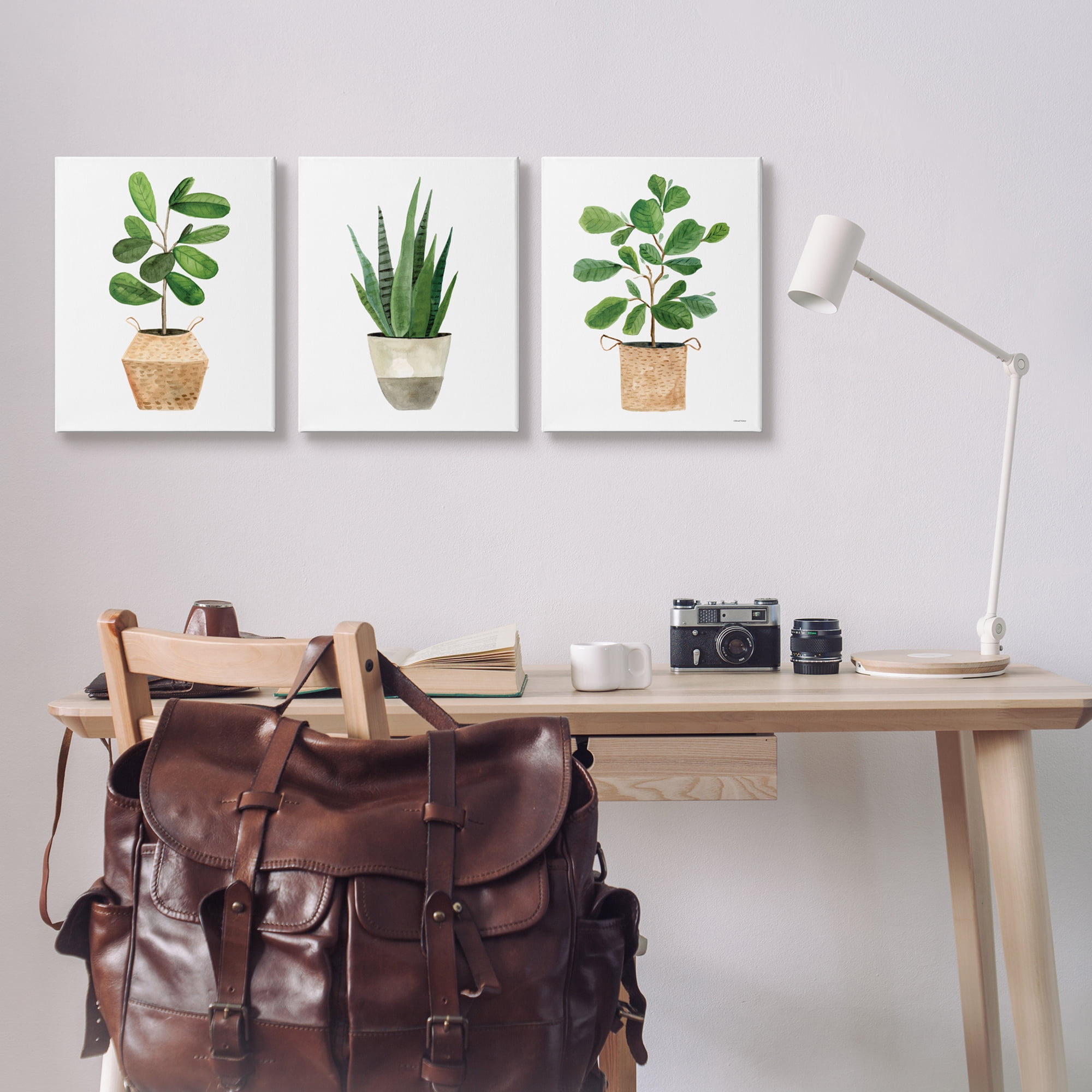 Stupell Minimal Potted Plants Botanicals Botanical & Floral Painting Gallery Wrapped Canvas Print Wall Art, Set of 3