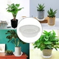 thumbnail image 6 of 5PCS 12" Thicken Plant Trays, Clear Plastic Drip Saucer Sturdy Flower Pot Tray for Indoors & Outdoor Plants or Planter Pots, 6 of 7