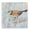 Coastal Plover Patchwork Bird, variant on Stupell Industries Coastal Coastal Plover Abstract Bird Black Framed Giclee Art, 12 x 12, by Jeanette Vertentes