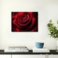 thumbnail image 5 of YILUYINQING Rose Water Droplets Canvas Wall Art Decor for Bedroom Kitchen Valentine's Day Modern Prints Home Art Decor, Ready To Hang 20x16in, 5 of 6