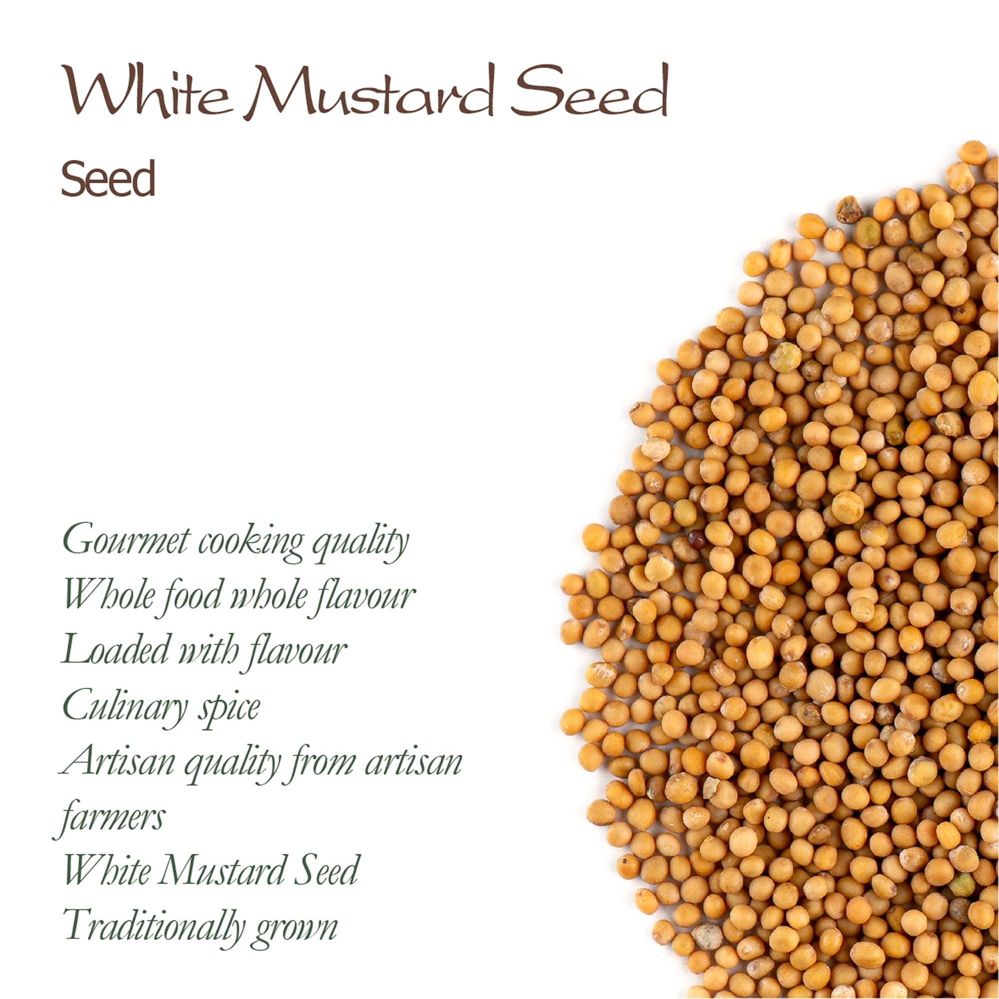 The Mustard Seeds ☆III Mustard Seed, Yellow Whole – Colonel De Gourmet Herbs & Spices