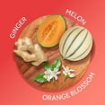 thumbnail image 4 of Calgon Fragrance Body Mist, Hawaiian Ginger, 8 fl oz, 4 of 4