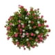 thumbnail image 5 of Guirnalda colorida con hojas para primavera y verano, decoración para puerta, colgante, guirnalda de plástico con hojas para primavera y verano, guirnalda de hojas coloridas para primavera y, 5 of 8
