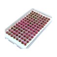 thumbnail image 2 of AMLESO Artificial DIY Miniature Flower Cluster Grass Tufts Diorama Layout Scenery Model Pink, 2 of 8