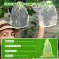 thumbnail image 3 of 100 Pack Fruit Protector Bags, 6" x 10", Garden Fruit Hedge Bags with Drawstring, Reusable Mesh Bags, Green Mesh Barrier Bags, Fruit Tree Organza Bags, Garden Vegetables, 3 of 6