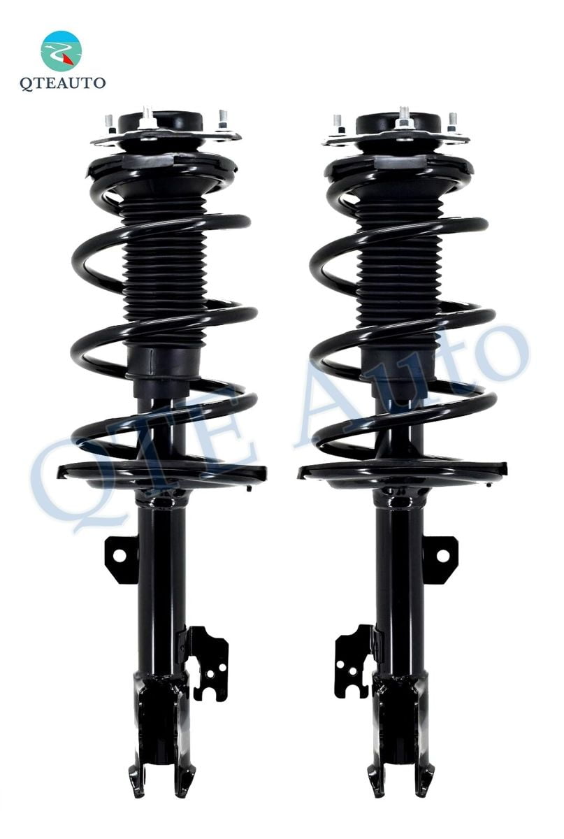 Bare Strut Assembly-Shock image