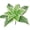 C, variant on Artificial Wide Leaf Greenery Plants, Faux Green Leaf Plants and Bushes for Indoor and Outdoor Wall Decor, Home, Garden, Wedding Arch, and Home Office Decoration