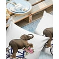 thumbnail image 2 of Cute Animal Outdoor Pillow Covers Set of 2, Decorative Waterproof Throw Pillow Case, Elephant Riding Bicycle with Pink Flowers Cotton Linen Soft Cozy Cushion Pillowcases, 2 of 6