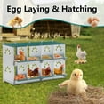 thumbnail image 6 of Chicken Nesting Box, 8 Hole Nest Boxes for Laying Eggs, Heavy Duty Metal Nest Boxes for Chicken Poultry Dove Duck and Pigeon to Collect Eggs, Coop Wall Mountable - Roll Away Nesting Box Green, 6 of 7