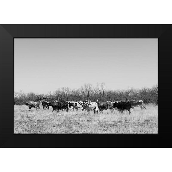 Highsmith, Carol 14x11 Black Modern Framed Museum Art Print Titled - Longhorn cattle grazing near Fort Griffin Texas