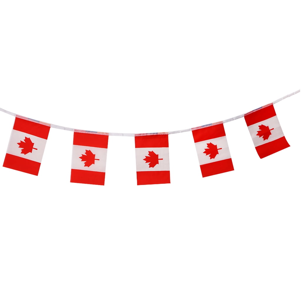 Party Time Banner 5'x3' Flag 