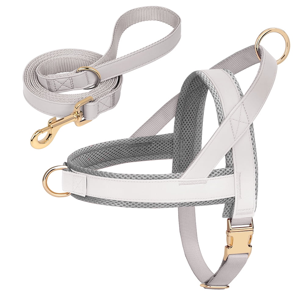Pet Artist No-Pull Pet Harness and Leash Set, Breathable Mesh & Padded Vest, Front Clip, Adjustable PU Leather with Metal Buckle for Small to Large Dogs