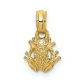 thumbnail image 1 of 14K Yellow Gold Textured Polished Finish 2-Dimensional Mini Size Frog Charm Pendant, 1 of 4