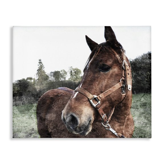 Stupell Industries Rustic Lodge Horse Posing In Field Canvas Art, 30 x 24, by Milli Villa