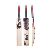 Kookaburra Beast PRO JUNIOR Cricket Bat 2022