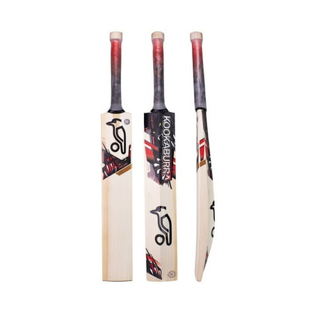 Kookaburra Beast PRO JUNIOR Cricket Bat 2022