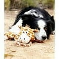 thumbnail image 7 of Charming Pet Products Scrunch Bunch Squeaky Dog Toy with Dual Handles, Green One-Size, 7 of 7