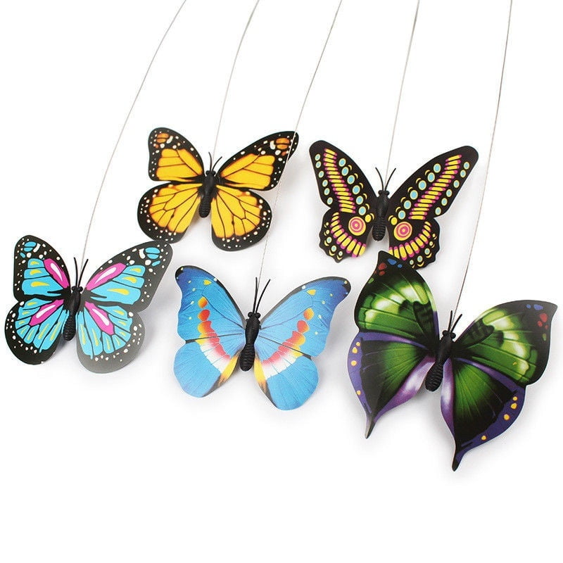 butterfly cat toy walmart